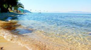 a beach with a flock of birds flying over the water at Sea Oasis Residence in Limenas