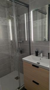 a bathroom with a shower and a sink and a mirror at L'Atelier du Quai in Mâcon