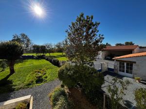 a view of a yard with a house and a tree at Ô Ptit Verger in Coulon