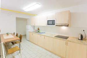 Kuchyňa alebo kuchynka v ubytovaní Apartmány Nad Rybníkem