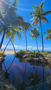 a group of palm trees on a beach at Casa Jasmim in Marau