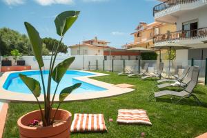 a plant in a pot next to a swimming pool at Estoril Guest Palace in Estoril