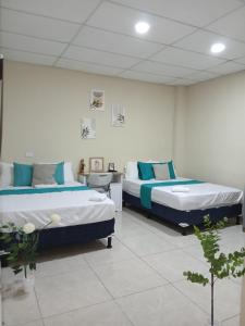 a hospital room with two beds and a table at Nómada San Miguel in Colonia Milagro de La Paz