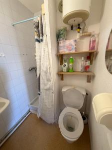 a small bathroom with a toilet and a shower at Appartement Port Leucate in Leucate