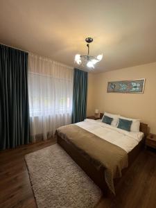 a bedroom with a large bed and a window at Apartament doua camere in Baia Mare