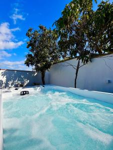 a swimming pool with a tree in the background at Casa Ana & Spa in Conil de la Frontera