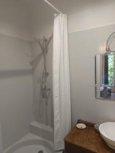 a bathroom with a shower and a sink at Le Cottage des chats in Beaulieu-sur-Loire +48 photos