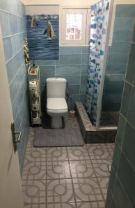 a bathroom with a toilet and a shower at Studio 1 chambre in Port-Gentil