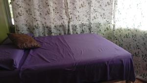 a purple bed in a bedroom with a window at Green house in Puerto Jiménez