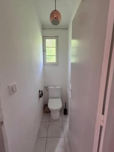 a white bathroom with a toilet and a window at la maisonnette in Nogent-le-Rotrou +13 photos