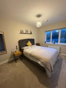 a bedroom with a bed and a large window at Cosy & Comfortable Room in Portlaoise