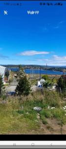 a picture of a field with a view of the water at Cabañas almendra in Quellón
