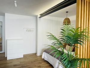 a plant in a room next to a bed at Casa Señora Reyes in Famara