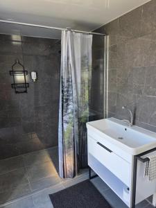 a bathroom with a sink and a shower at APARTAMENTI BrivdienuKolka in Kolka +29 photos
