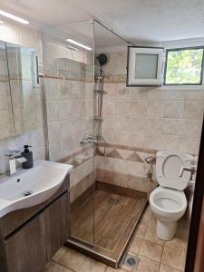 a bathroom with a shower and a toilet and a sink at Posidi pool apartment in Possidi +19 photos