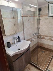 a bathroom with a sink and a shower at Posidi pool apartment in Possidi