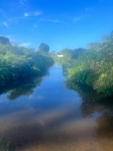 an aerial view of a river with trees at Nicole Guest House - Private Room & Bathroom - 6kms from City in Brisbane +4 photos