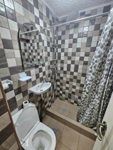 a bathroom with a toilet and a sink at BOMBA Apart in Târgu Secuiesc