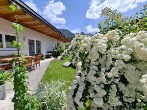 a hedge of white flowers in a garden at Apart Lechtraum in Stanzach
