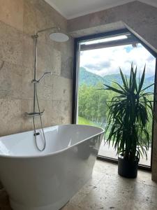 a white bath tub in a bathroom with a plant at Crai Stone House in Bran +114 photos