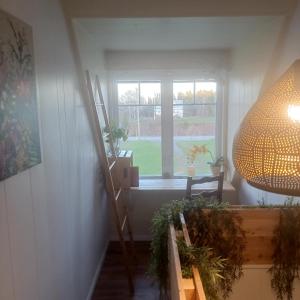 a room with a window and a table with plants at Le nid marin in Gascons