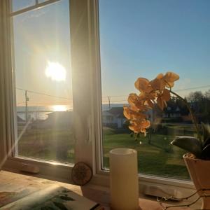 a window with a vase and a flower on a table at Le nid marin in Gascons +14 photos