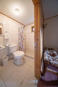 a bathroom with a toilet and a sink and a shower at Apart Hotel y Cabañas Valle Exploradores in Puerto Tranquilo