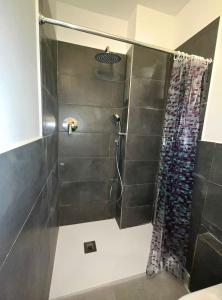 a shower with a glass door in a bathroom at Arcadia Hosting Aeroporto in Bologna