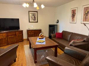 ein Wohnzimmer mit Sofa und Fernseher in der Unterkunft Ferienwohnung Eldeidyll in Neu Kaliß