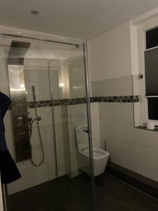 ein Badezimmer mit Dusche und Toilette in der Unterkunft Ferienwohnung Eldeidyll in Neu Kaliß + 4 Fotos