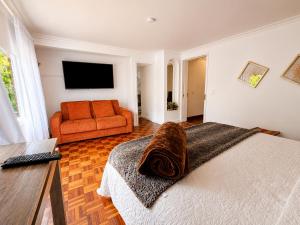a bedroom with a bed and a couch and a television at Hotel Casa Madero in Envigado