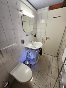 a bathroom with a toilet and a sink and a mirror at Fienile in Avegno