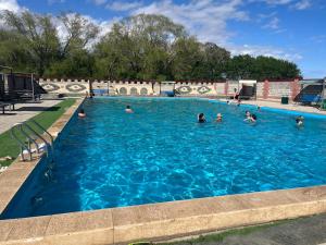a group of people swimming in a swimming pool at Гостевой дом Кымбат in Chok-Tal