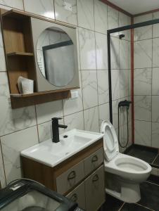 a bathroom with a sink and a toilet and a mirror at Casa rayen in Puerto Natales