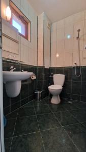 a bathroom with a toilet and a sink at Guest House Byki in Sveti Vlas +17 photos