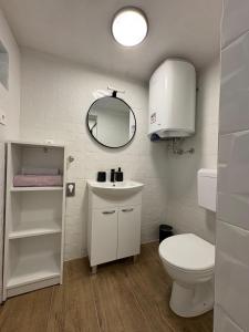 a bathroom with a toilet and a sink and a mirror at Apartments Peronja Jelsa Seafront in Jelsa +113 photos