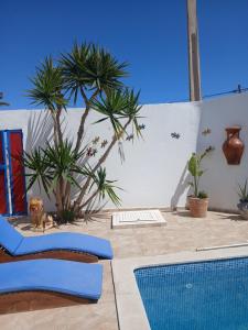 a pool with two lounge chairs and a palm tree at Maison aux Jarres in Midoun +10 photos