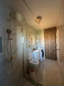 a bathroom with a toilet and a shower with a glass door at Luxury Vibes in Şelimbăr +7 photos