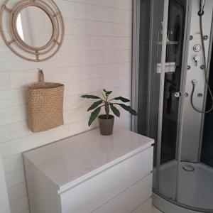 a bathroom with a mirror and a plant on a dresser at Gästhus öppen planlösning in Oskarshamn +5 photos