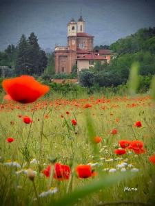 a field of flowers with a building in the background at Ël Sautafoss in Agliè