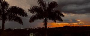 two palm trees with a sunset in the background at Casa Atelier AXM in Salento +5 photos