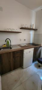 a kitchen with wooden cabinets and a sink and a dishwasher at mala Atina in Petrovaradin