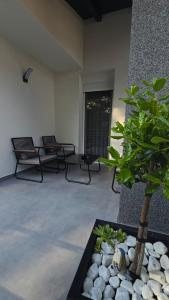 a room with chairs and a potted plant in it at Apartman Tomislav in Slavonski Brod
