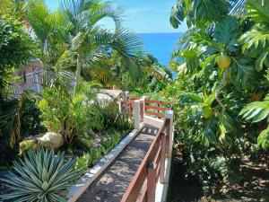 a wooden path through a garden with palm trees and the ocean at Le Nid De Bellemont in Trois-Rivières
