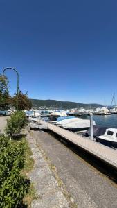 ein Yachthafen mit an einem Dock geparkten Booten in der Unterkunft Oumaya in Erlach