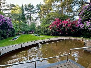 a pond in a garden with trees and flowers at Ferienwohnung Marina in Wiesmoor +15 photos