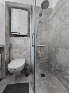 a bathroom with a toilet and a shower at Cozy Seaside Studio with Private Parking in Nice