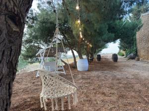 a rope swing hanging from a tree with lights at Feudo Nobile in Gela