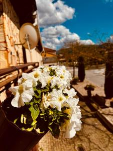 a pot of white flowers hanging on a wall at Villa Alexandra 1 in Imárcoain
