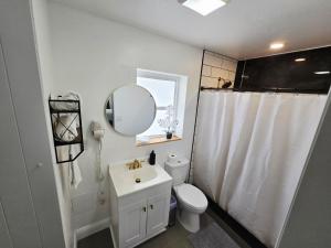 a bathroom with a sink and a toilet and a mirror at Cozy Full Home Experience in Tampa +13 photos